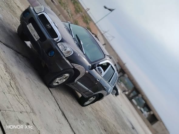 هيونداي سانتا في 2003 - صورة 2
