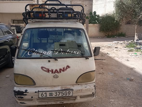 شانا قطة 2005 - صورة 4