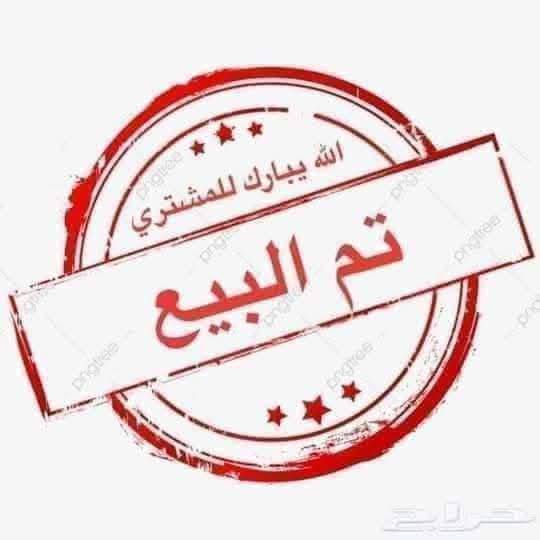 كيا ريو 2011 - صورة 2
