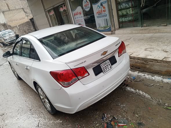 شفر كروز 2013 - صورة 5