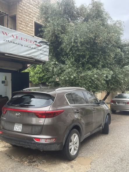 كيا سبورتاج 2017 - صورة 3