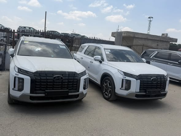 هيونداي باليسيد 2024 - صورة 1