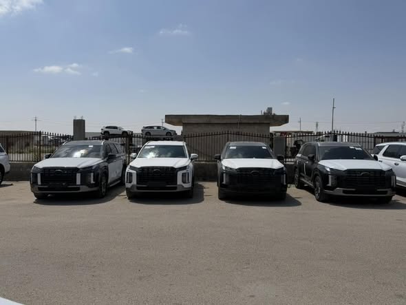 هيونداي باليسيد 2024 - صورة 5