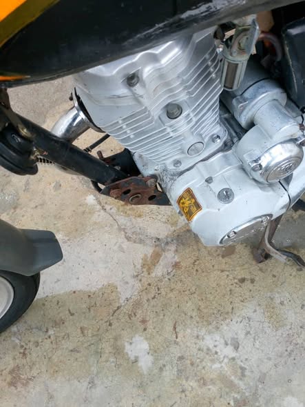 جالينج جالينج 2015 - صورة 2