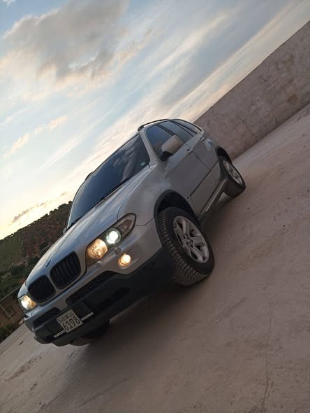 بي إم دبليو X5 2005 - صورة 2