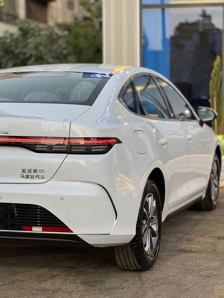 بي واي دي ديستروير 2025 - صورة 2