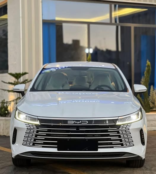 بي واي دي ديستروير 2025 - صورة 5