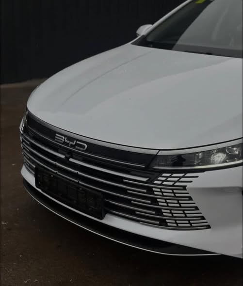 بي واي دي ديستروير 05 2025 - صورة 2
