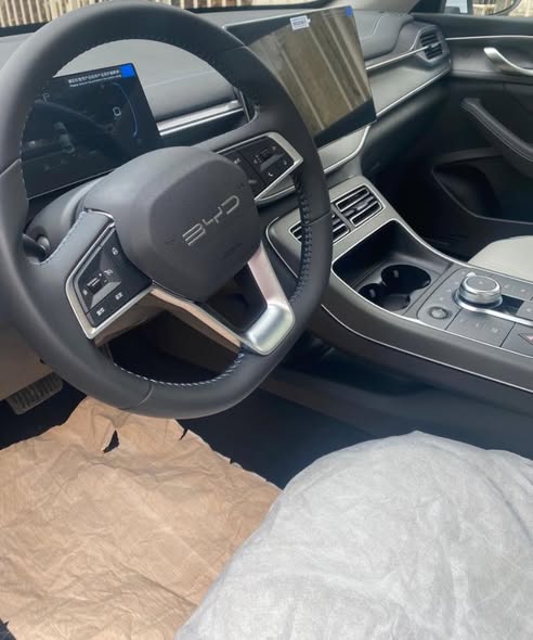 بي واي دي ديستروير 05 2025 - صورة 4