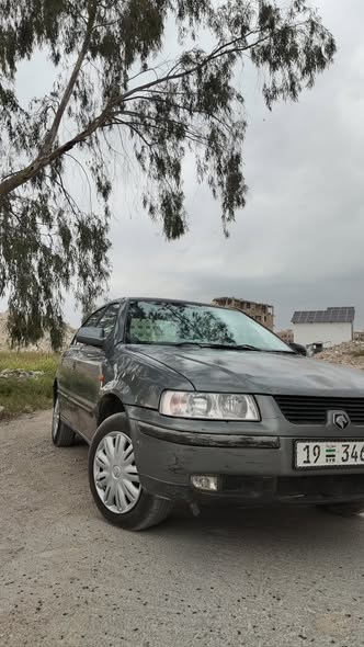 شام شام 2008 - صورة 1