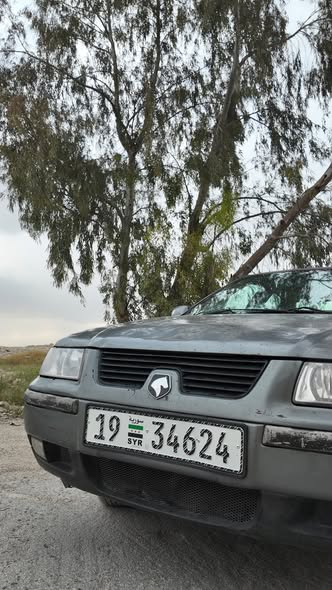 شام شام 2008 - صورة 2
