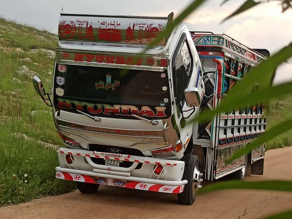 هيونداي HD78 2006 - صورة 3
