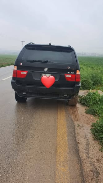 بي إم دبليو اكس 5 2005 - صورة 2