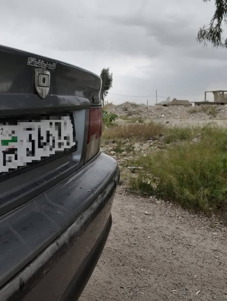 شام سيامكو 2008 - صورة 2