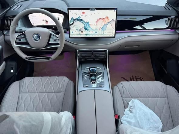 بي واي دي تانغ 2025 - صورة 5