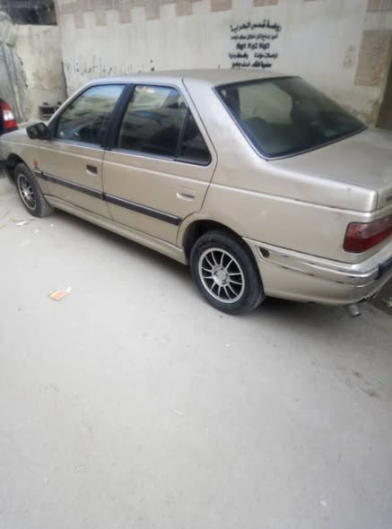 بيجو باريس 2008 - صورة 1