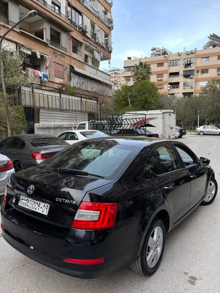 سكودا اوكتافيا 2016 - صورة 2