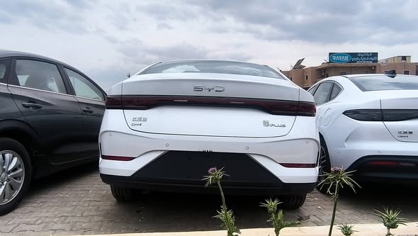 بي واي دي كين بلس 2025 - صورة 2