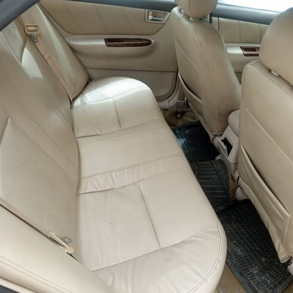 بي واي دي F3 2007 - صورة 3