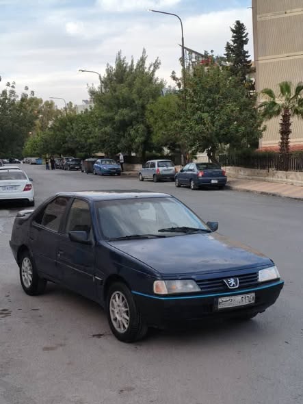 بيجو 405 1993 - صورة 1