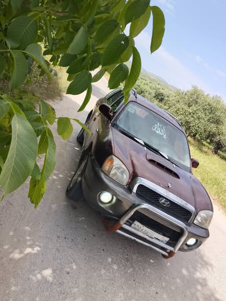 هيونداي سانتافي 2002 - صورة 2