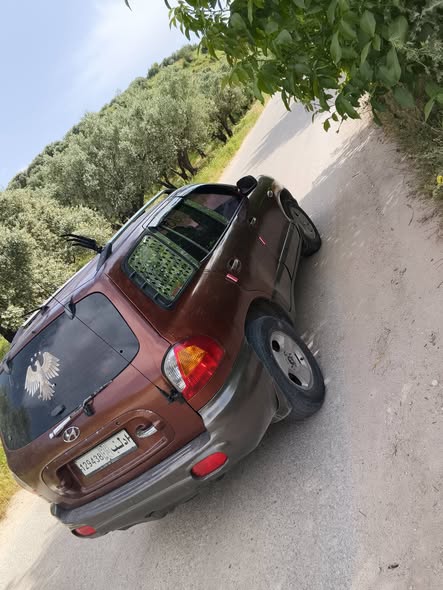 هيونداي سانتافي 2002 - صورة 5