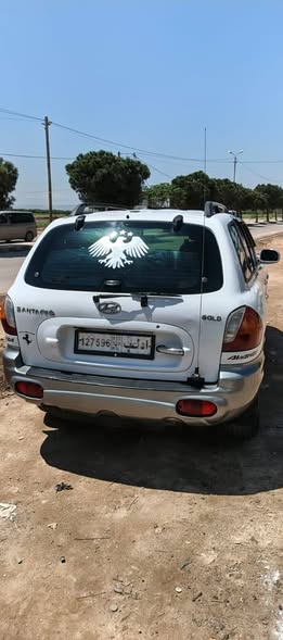 هيونداي سانتافي 2003 - صورة 3