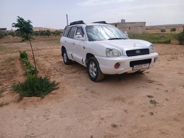 هيونداي سنتافي 2004 - صورة 3
