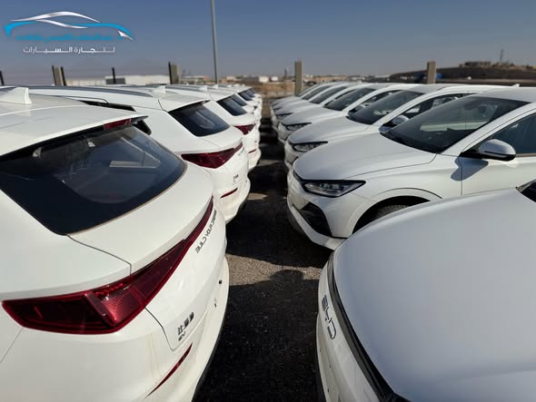 بي واي دي اي 2 2024 - صورة 2