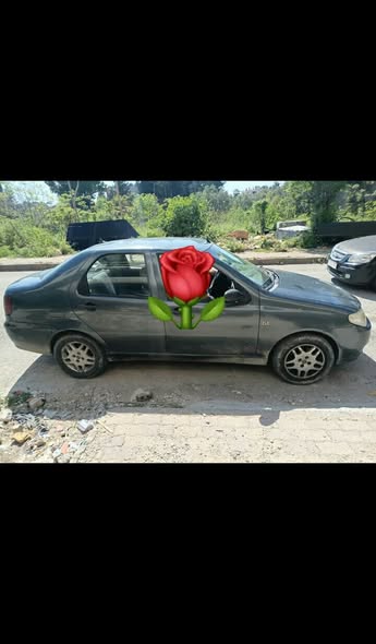 فيات سيينا 2006 - صورة 3
