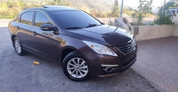 دي إف إس كيه S50 2020 - صورة 4