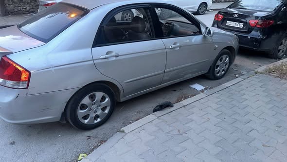 كيا سيراتو 2009 - صورة 4