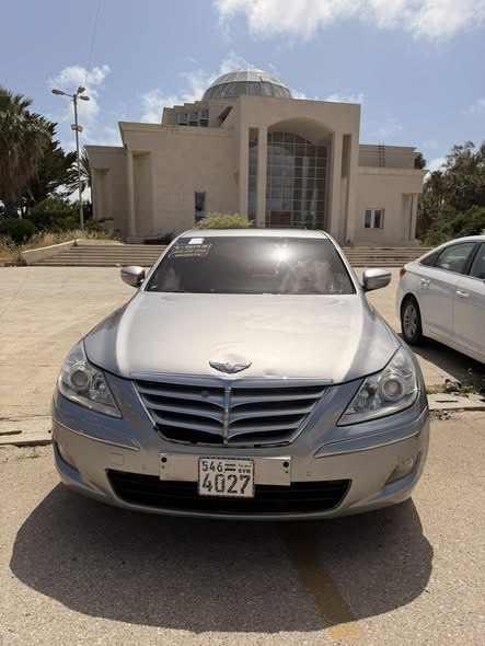 جينيسس جينيسس 2010 - صورة 1