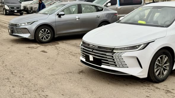 BYD ديستروير 05 2025 - صورة 1
