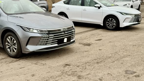 BYD ديستروير 05 2025 - صورة 2