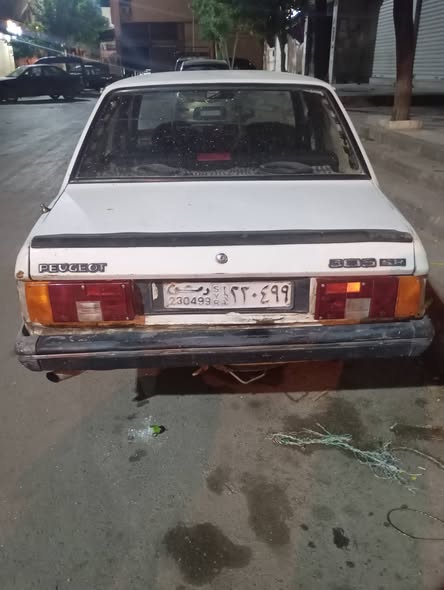 بيجو 505 1985 - صورة 3