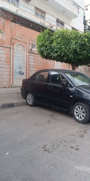 سوزوكي ليانا 2006 - صورة 1