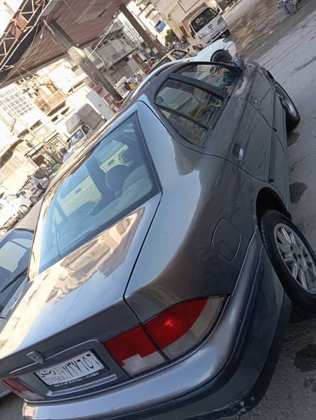 شام شام 2008 - صورة 3