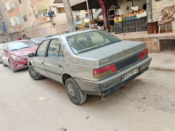 بيجو روى 2008 - صورة 2