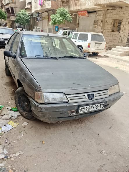 بيجو روى 2008 - صورة 3