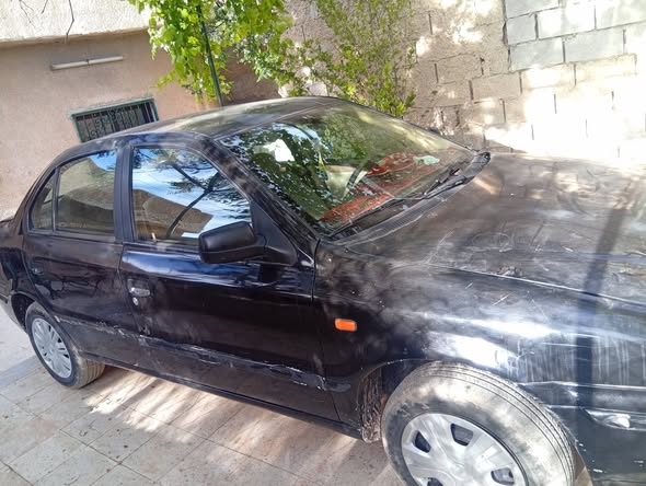 شام شام 2010 - صورة 4