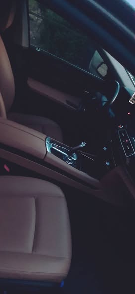بي إم دبليو 730 2015 - صورة 4