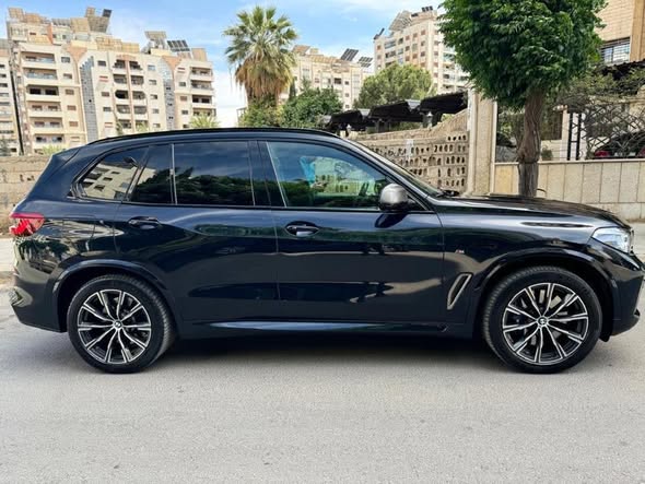 بي إم دبليو X5 2019 - صورة 2
