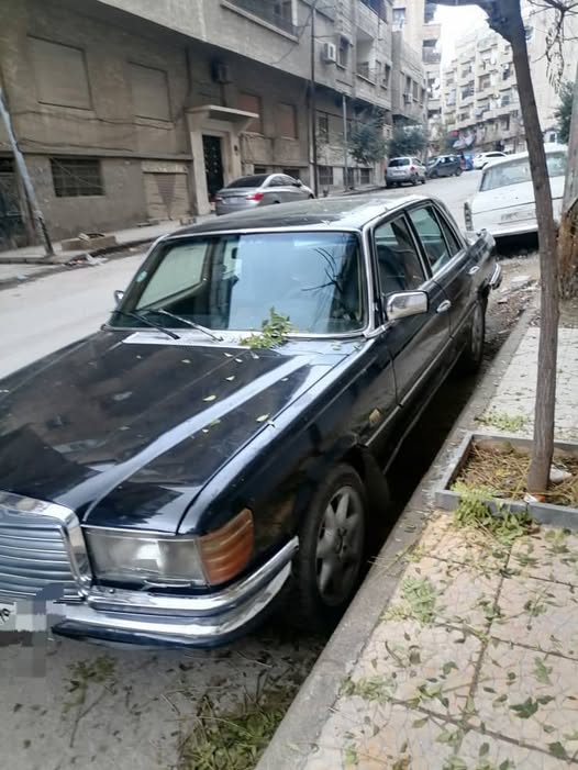 مرسيدس 300 1979 - صورة 1