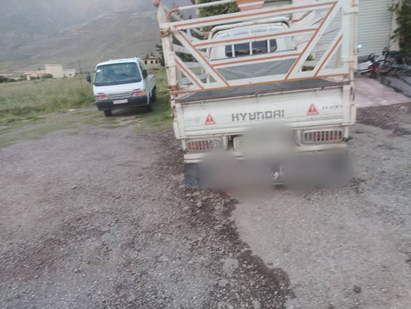 هيونداي H100 2008 - صورة 1