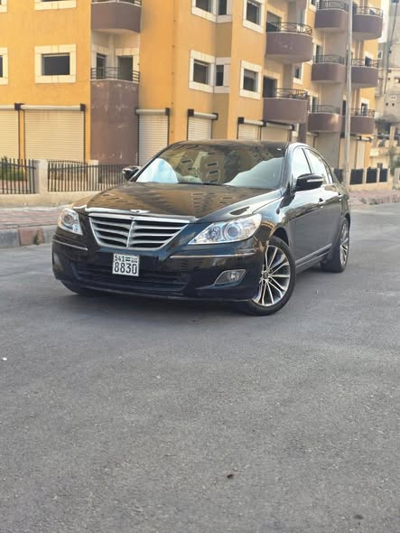 جينسيس جينسيس 2010 - صورة 1