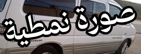 هيونداي ستاركس 2002 - صورة 1