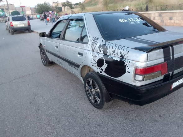 بيجو روى 2007 - صورة 4