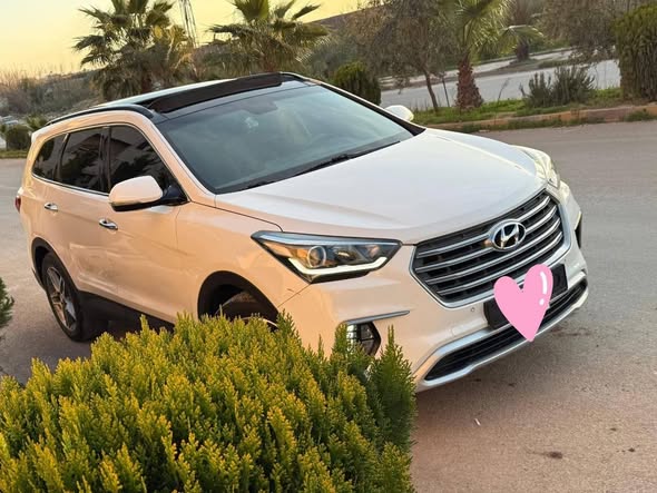 هيونداي ماكس كروز 2016 - صورة 2