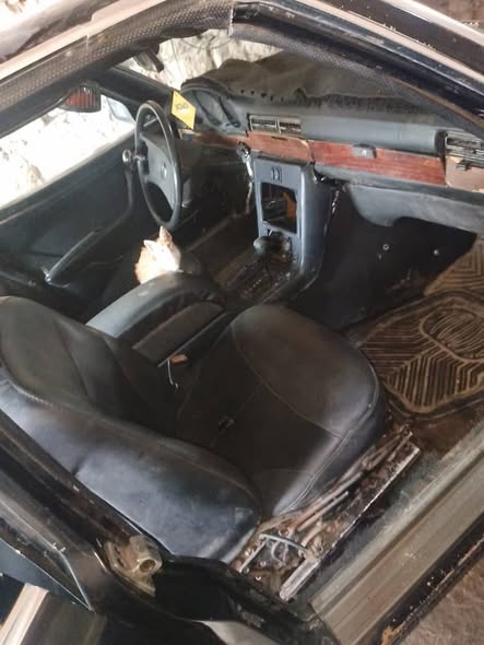 مرسيدس 200 1987 - صورة 3